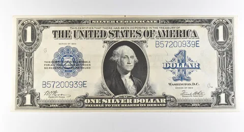 1923 $1 Silver Certificate Large Note Blue Seal *2934