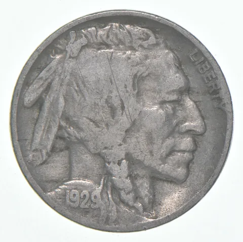 1929-D Indian Head Buffalo Nickel Average Circ
