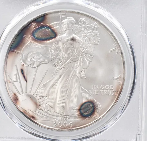2006 American Silver Eagle MS69 PCGS Beautiful Tone *1123