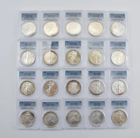 Lot (20) Nice Tone American Silver Eagle PCGS Holder *2911