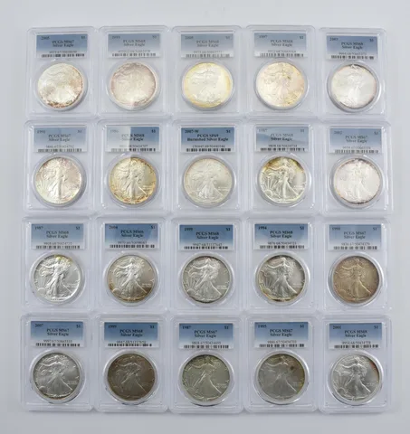 Lot (20) Nice Tone American Silver Eagle PCGS Holder *2883