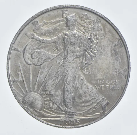 Better Date 2005 American Silver Eagle 1 Troy Oz .999 Fine Silver *428