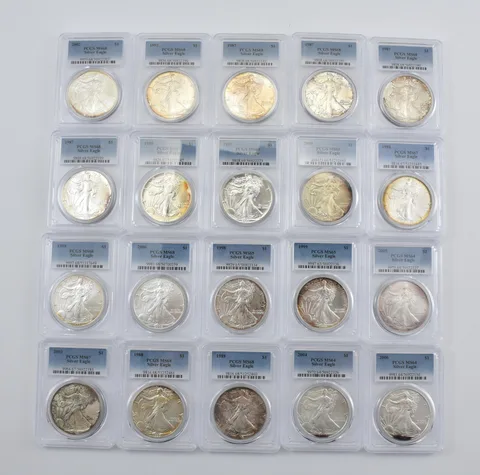 Lot (20) Nice Tone American Silver Eagle PCGS Holder *2896