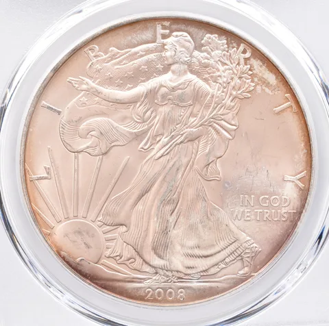 2008 American Silver Eagle MS66 PCGS Beautiful Tone *1393