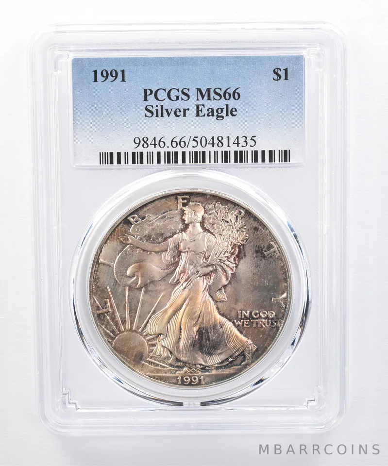 1991 American Silver Eagle MS66 PCGS Mottled Tone *8506