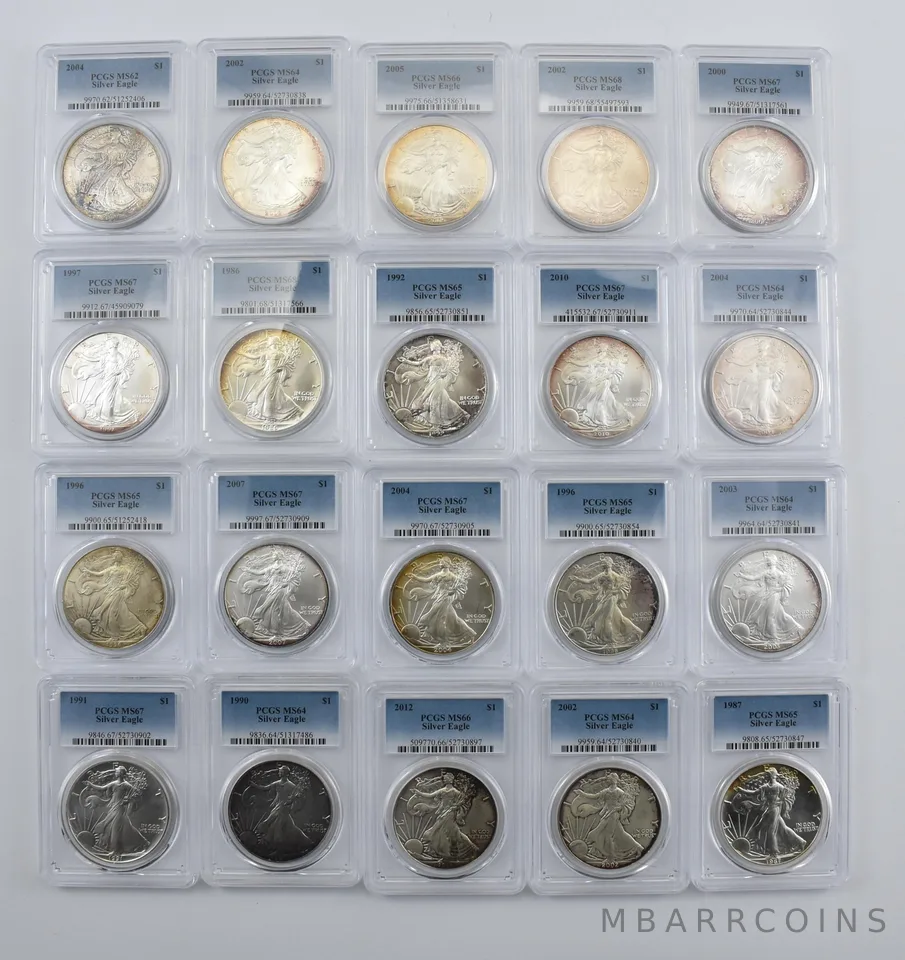 Lot (20) Nice Tone American Silver Eagle PCGS Holder *1995