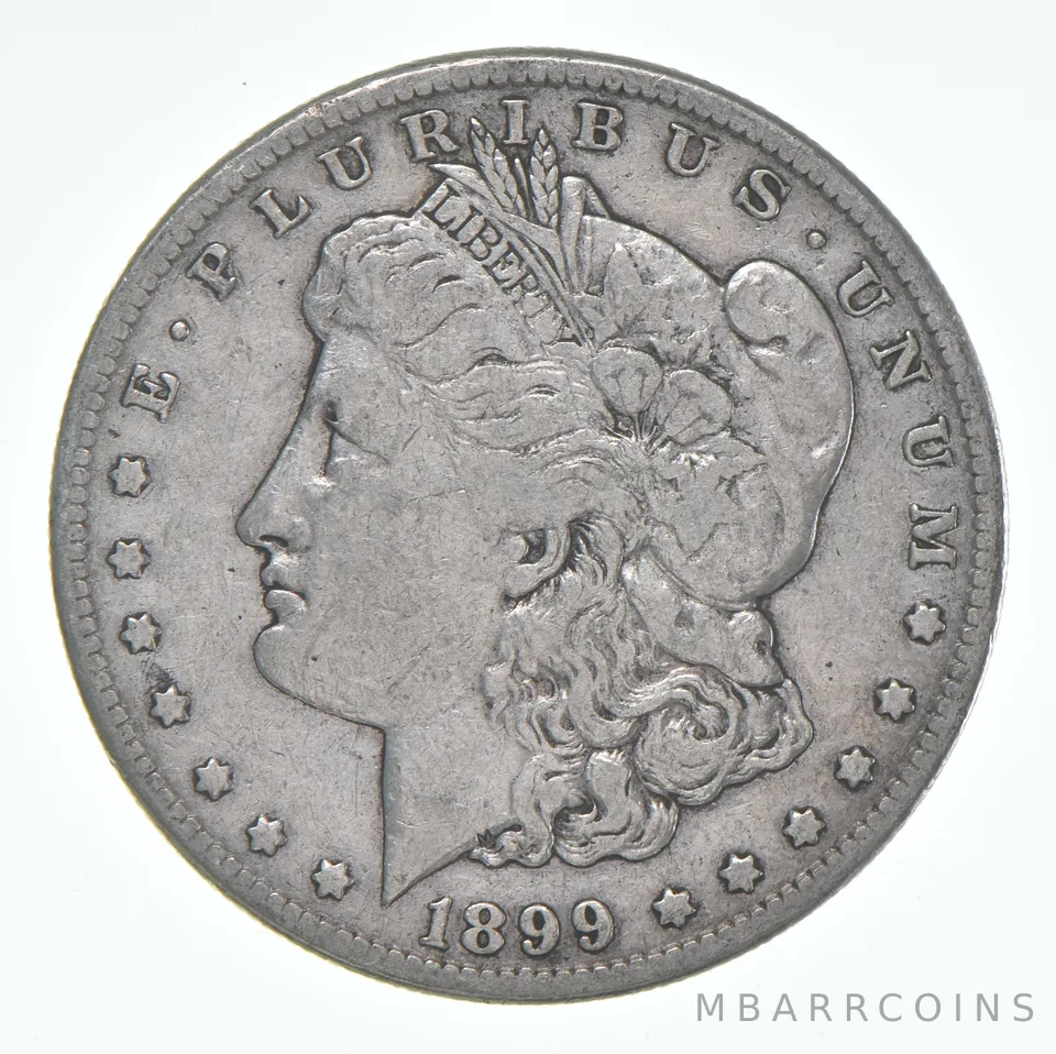 VF 1899-S Morgan Silver Dollar (1 coin)