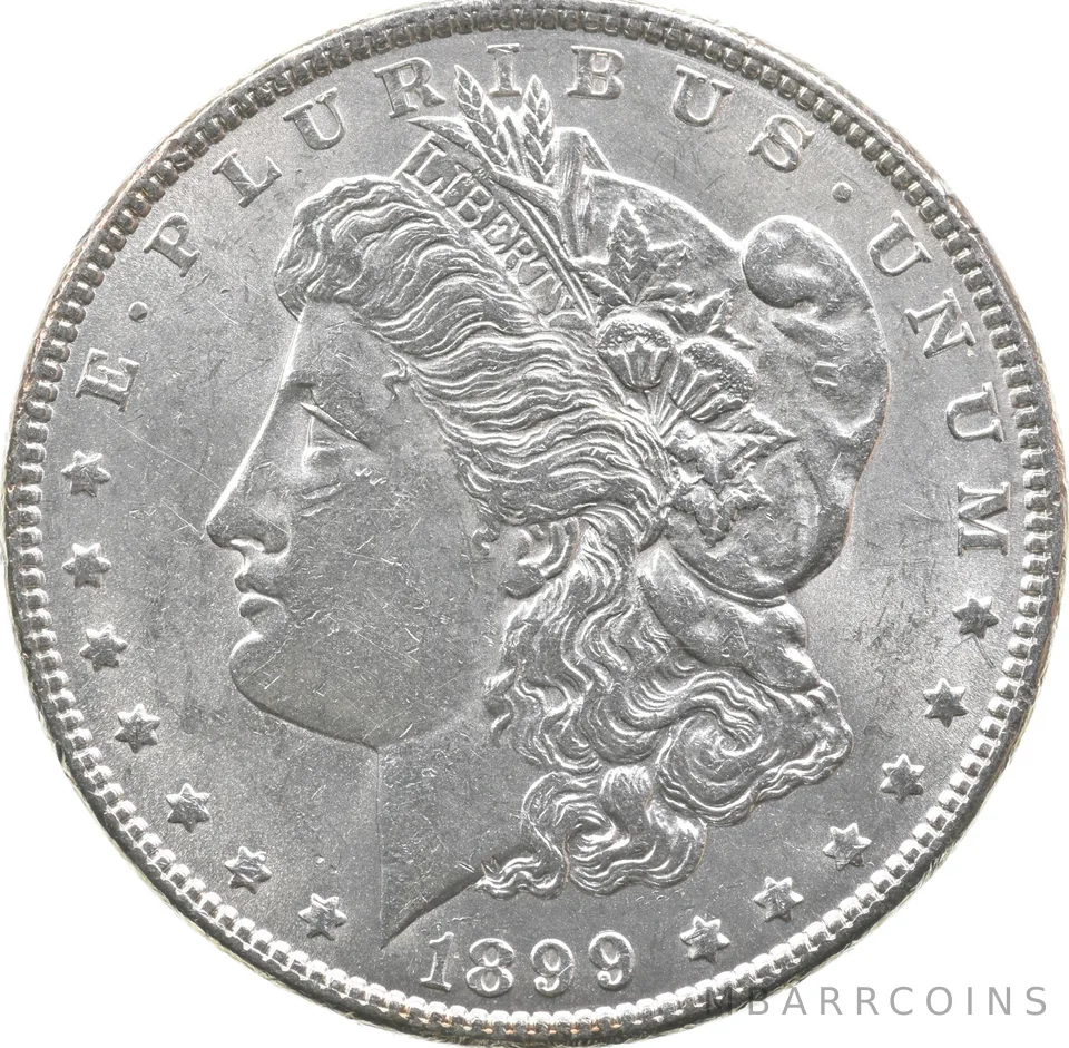 1899 Morgan Silver Dollar *4858