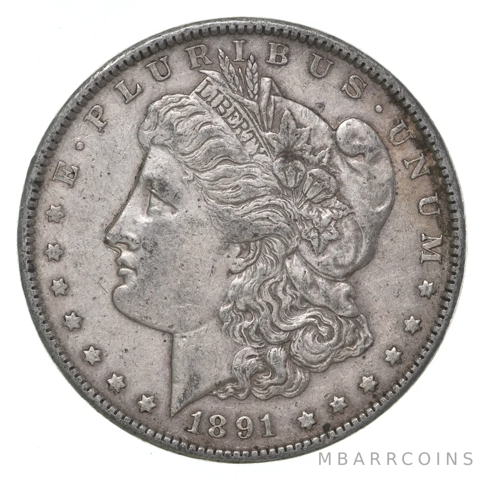XF 1891-S Morgan Silver Dollar (1 coin)