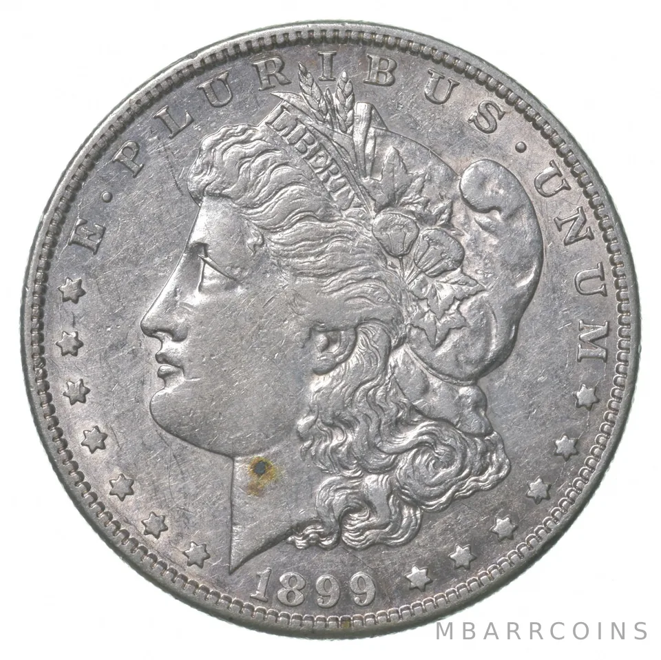 1899-S Morgan Silver Dollar a8581