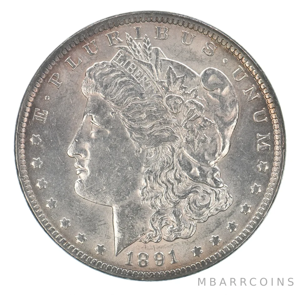 1891-CC Morgan Silver Dollar Peripheral Tone *5771