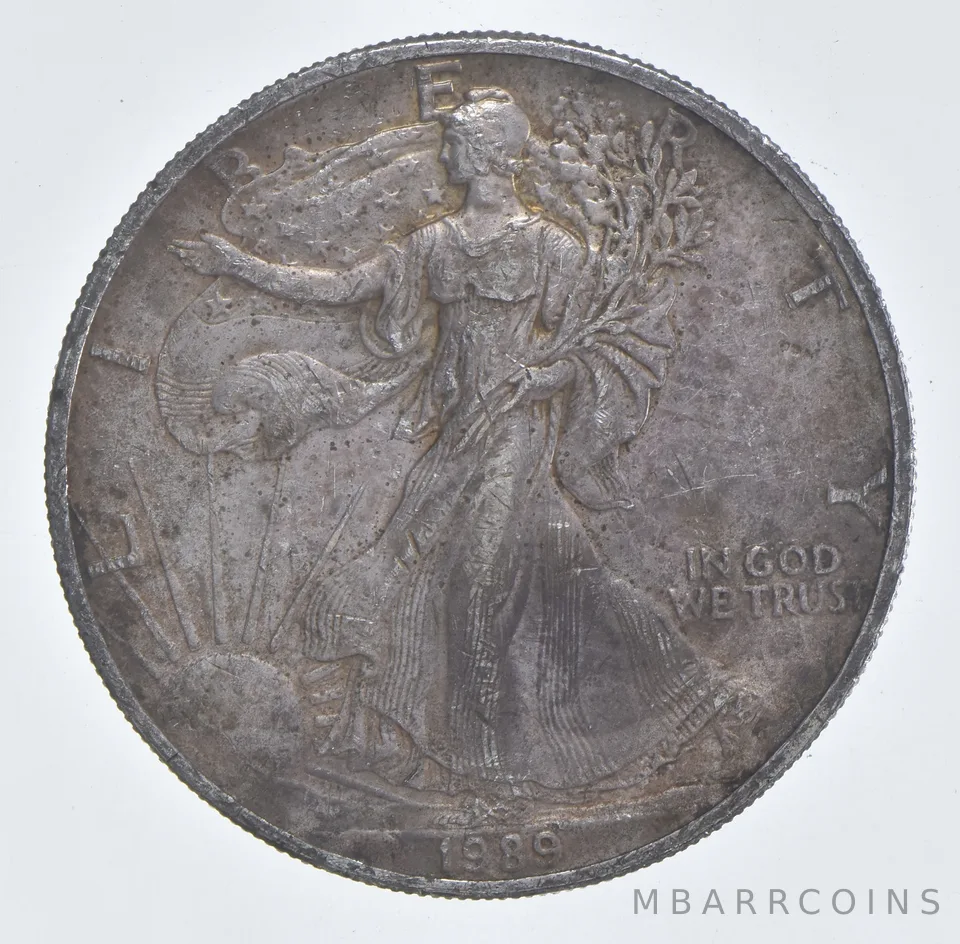 Better Date 1989 American Silver Eagle 1 Troy Oz .999 Fine Silver *030