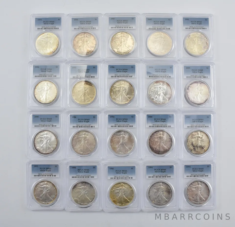Lot (20) Nice Tone American Silver Eagle PCGS Holder *2910