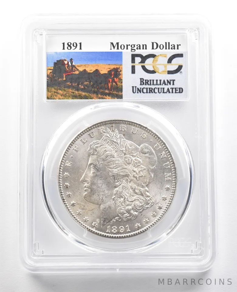 1891 Morgan Silver Dollar BU PCGS a6621