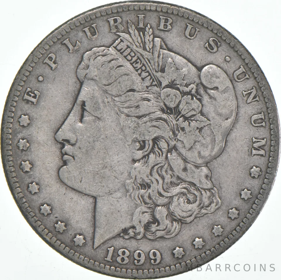 VG/F 1899-S Morgan Silver Dollar (1 coin)