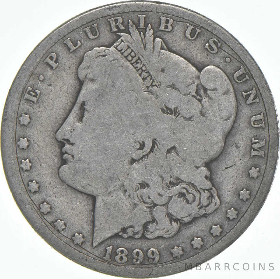 G/VG 1899-S Morgan Silver Dollar (1 coin)