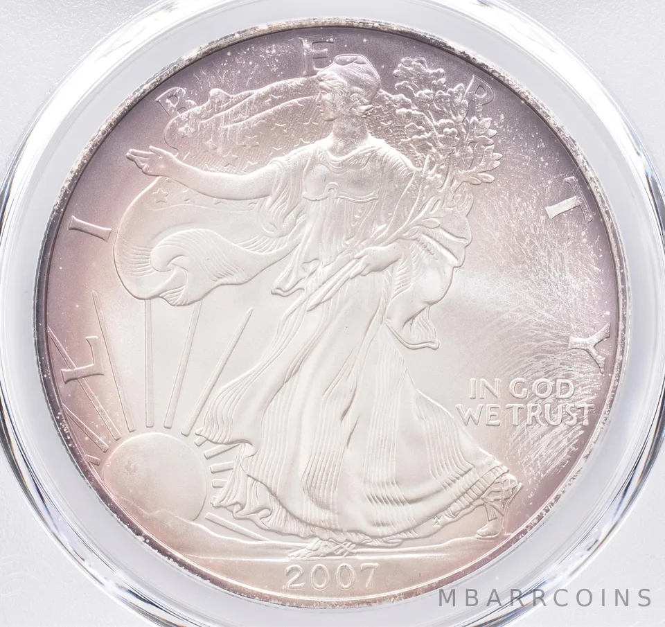 2007-W Burnished American Silver Eagle SP69 PCGS Beautiful Tone *1553
