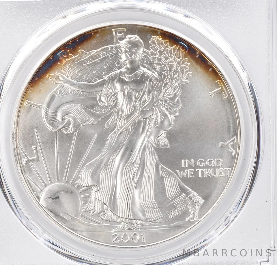 2001 American Silver Eagle MS69 PCGS Peripheral Tone *1134