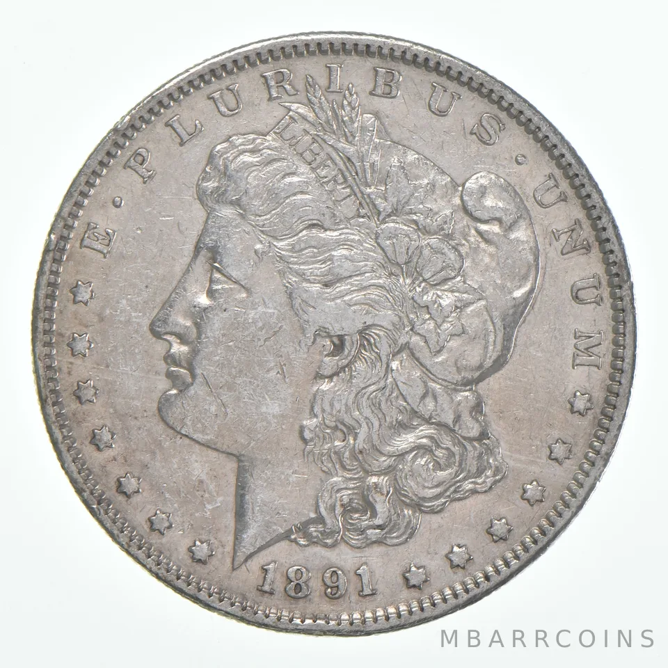 VF 1891-S Morgan Silver Dollar (1 coin)