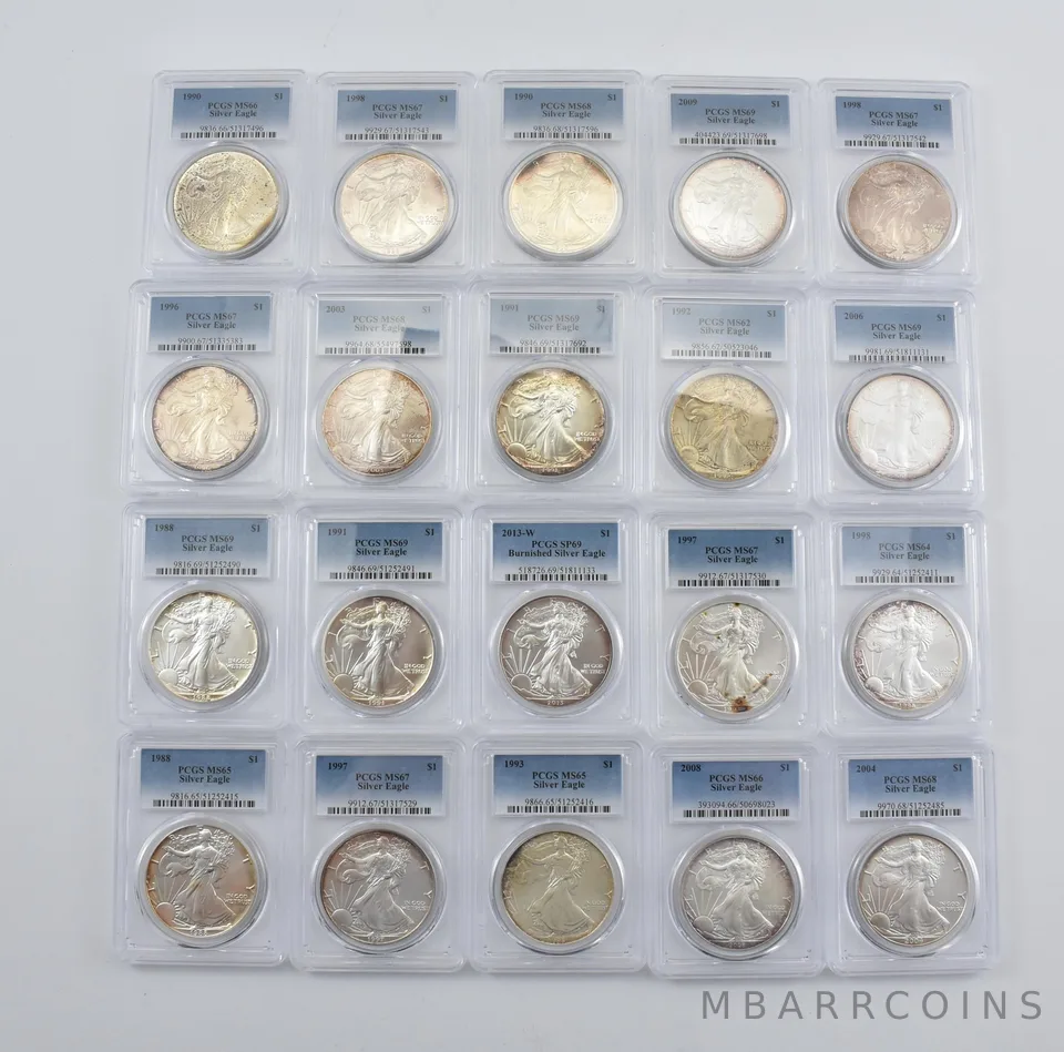 Lot (20) Nice Tone American Silver Eagle PCGS Holder *2909