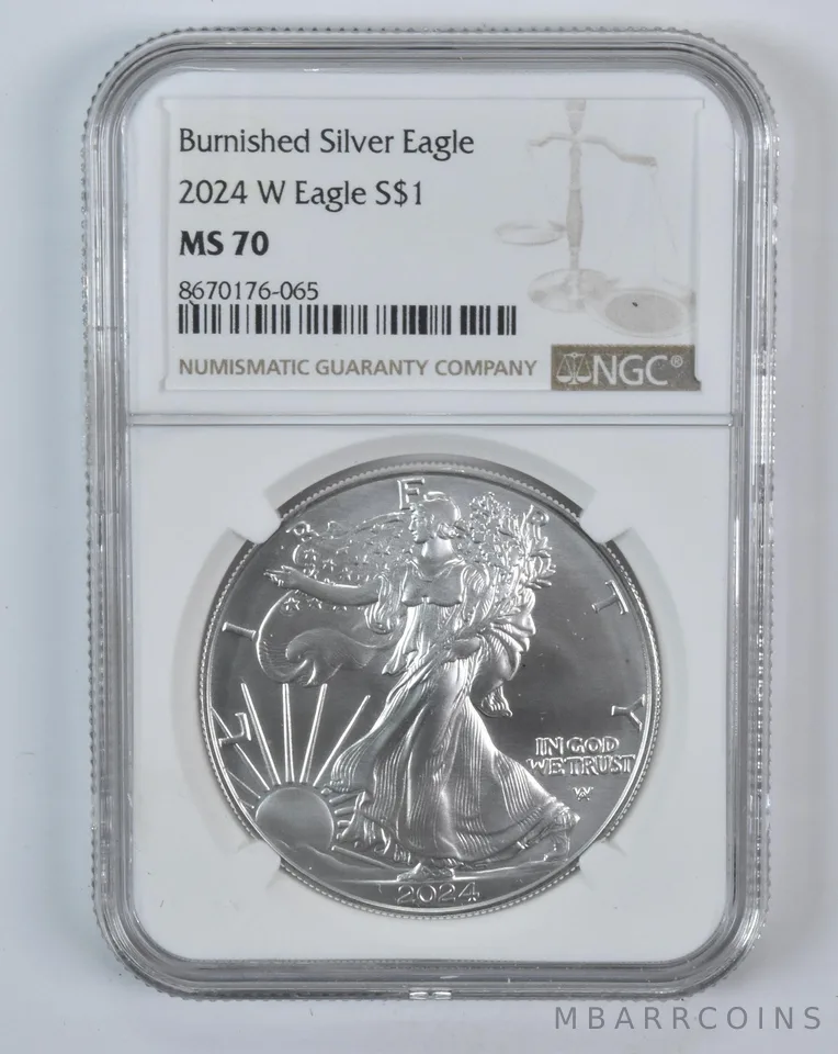 2024-W Burnished Silver Eagle MS70 NGC Brown Label