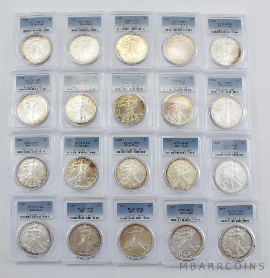 Lot (20) Nice Tone American Silver Eagle PCGS Holder *2891