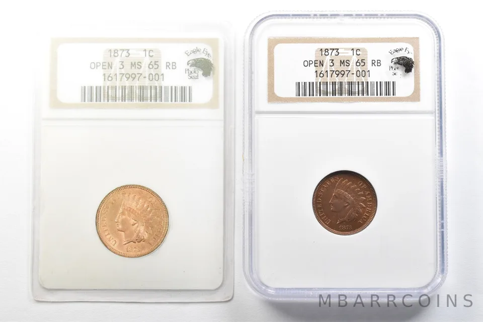 1873 Indian Head Cent Open 3 MS65 RB NGC Eagle Eye Photo Seal *3500