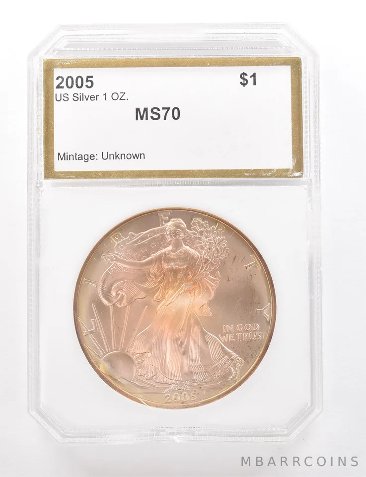 2005 American Silver Eagle Beautiful Tone *3352