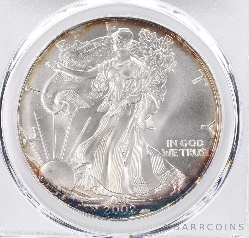 2002 American Silver Eagle MS69 PCGS Peripheral Tone *1133