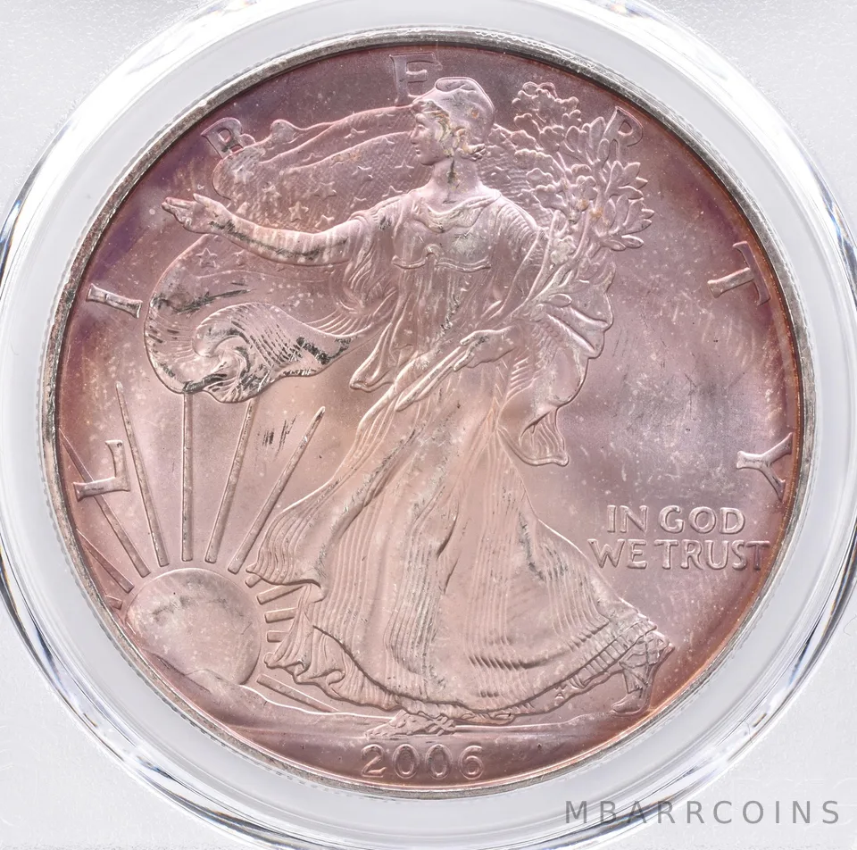2006 American Silver Eagle MS65 PCGS Beautiful Tone *1448