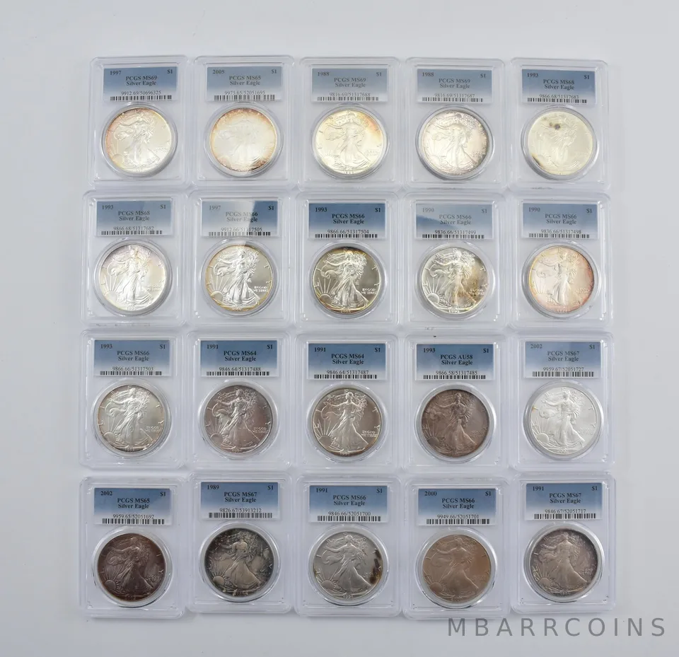 Lot (20) Nice Tone American Silver Eagle PCGS Holder *2904
