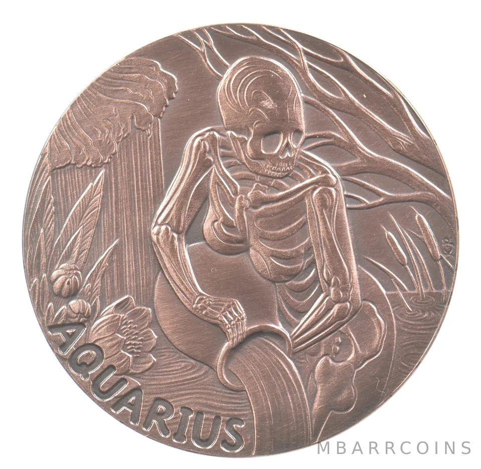 2015 Skullcoins Memento Mori Zodiac Aquarius Copper *6704