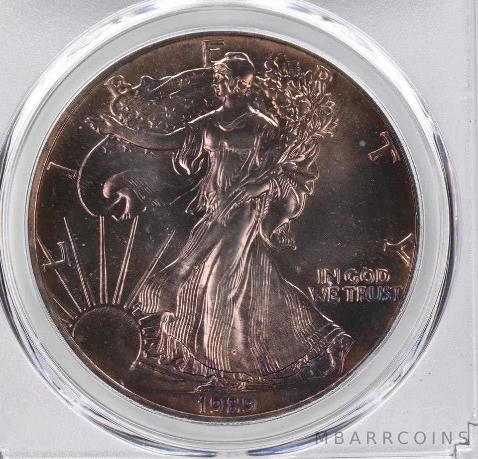 1989 American Silver Eagle MS69 PCGS Beautiful Tone *1127