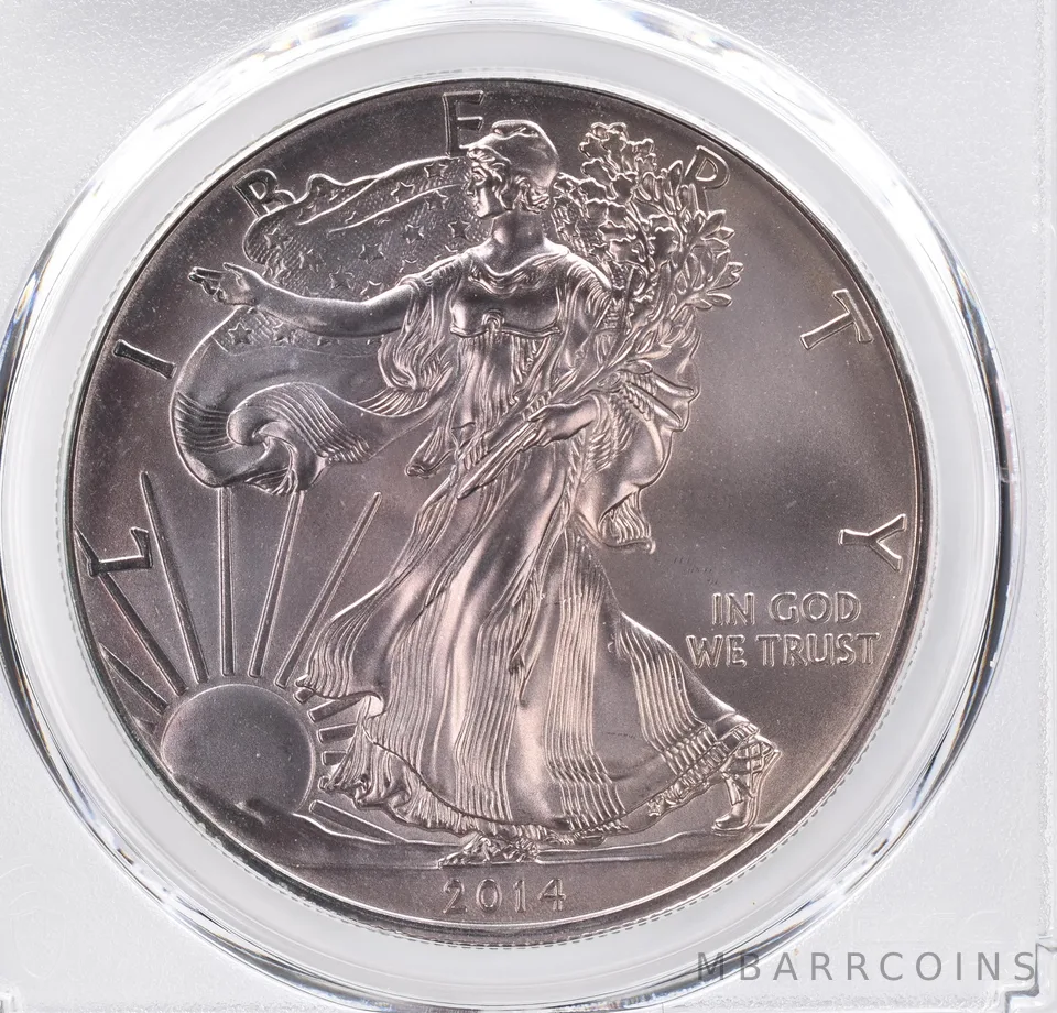 2014 American Silver Eagle MS69 PCGS Beautiful Tone *1132