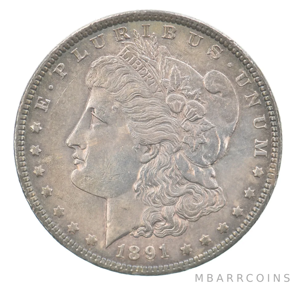 1891 Morgan Silver Dollar Beautiful Tone a7592