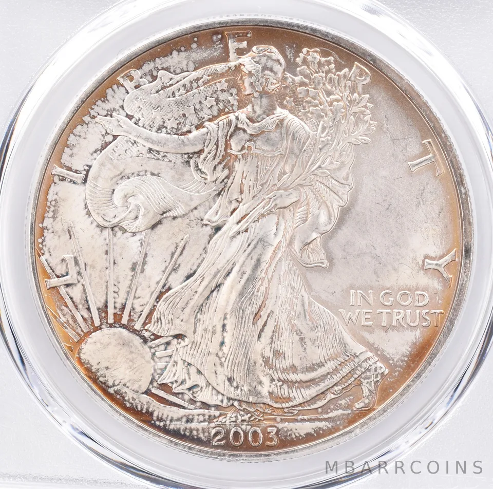 2003 American Silver Eagle MS66 PCGS Beautiful Tone *1409