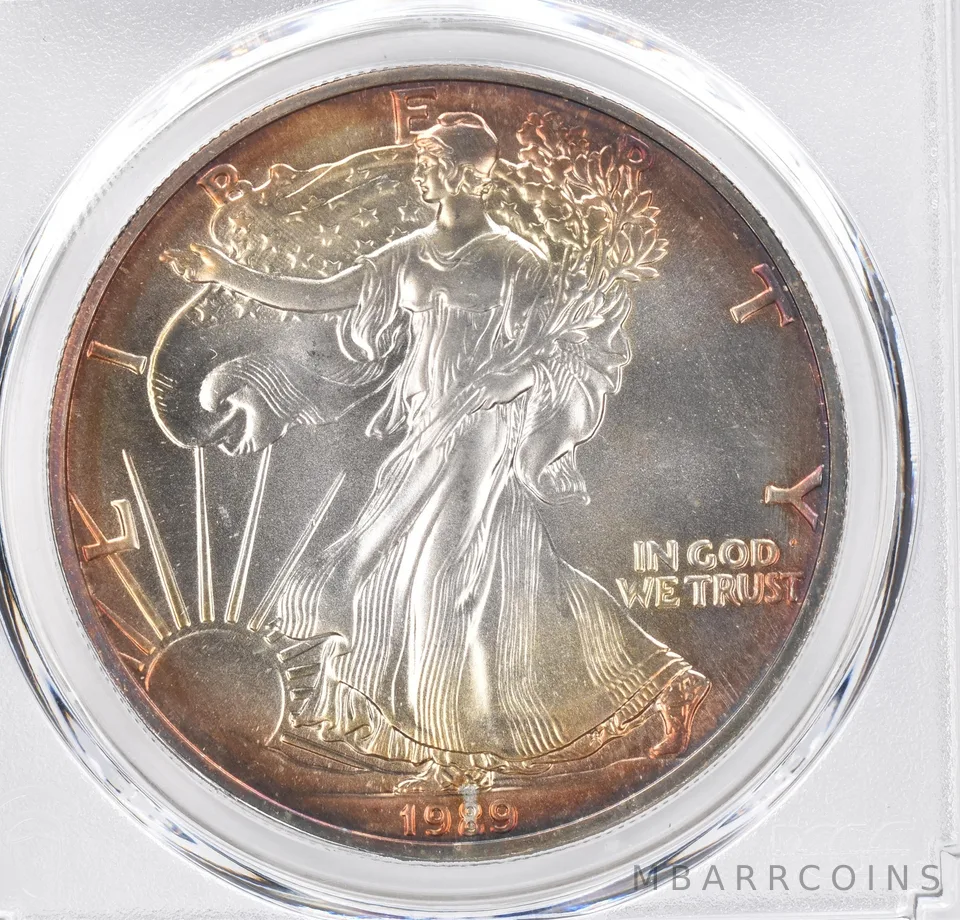 1989 American Silver Eagle MS69 PCGS Peripheral Tone *1138