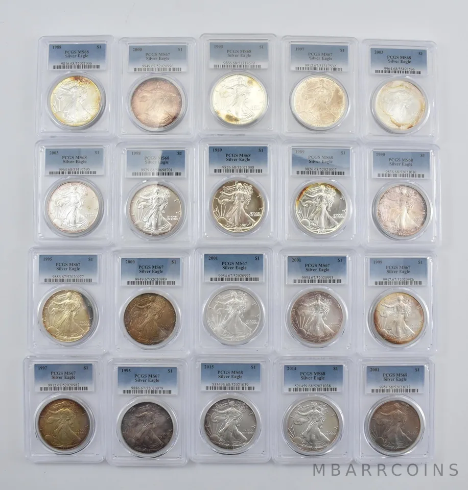 Lot (20) Nice Tone American Silver Eagle PCGS Holder *2905