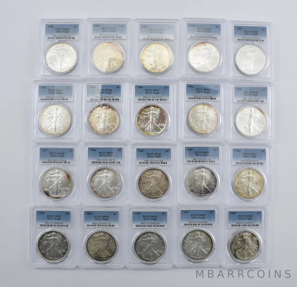 Lot (20) Nice Tone American Silver Eagle PCGS Holder *2898