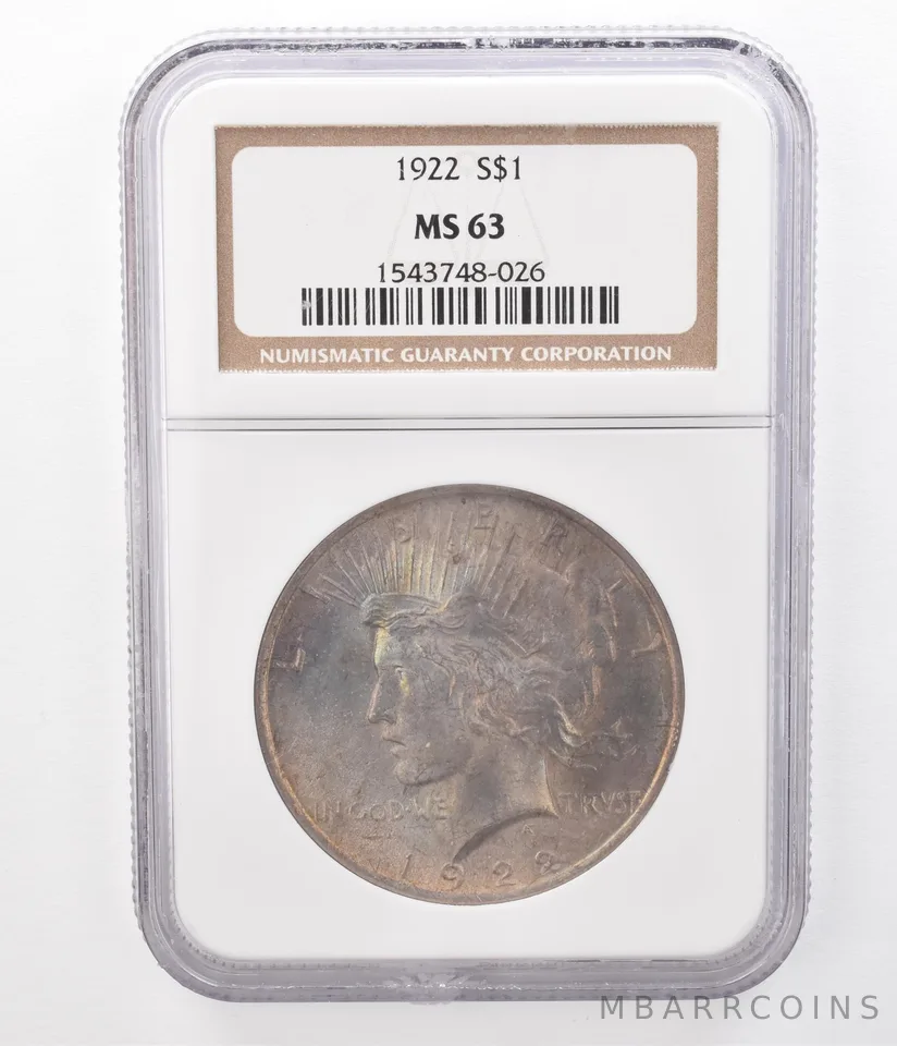 1922 Peace Silver Dollar MS63 NGC Beautifully Toned a8362