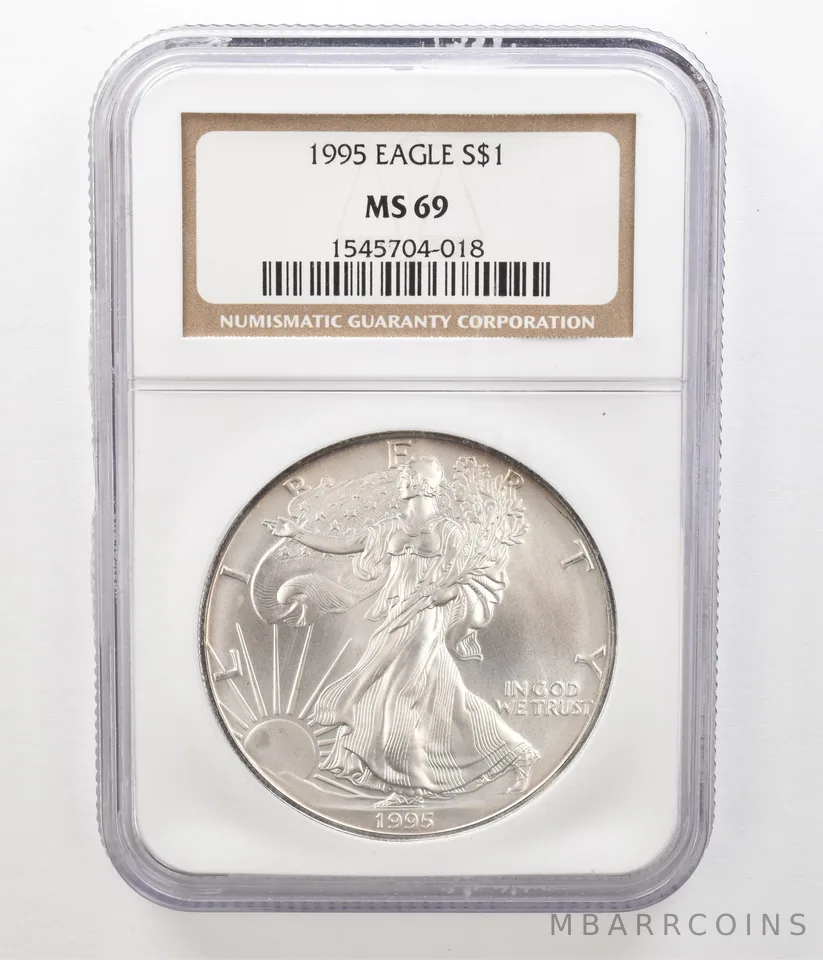 1995 American Silver Eagle MS69 NGC Toned Reverse *4553