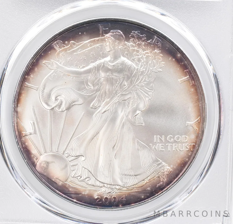 2004 American Silver Eagle MS69 PCGS Peripheral Tone *1140