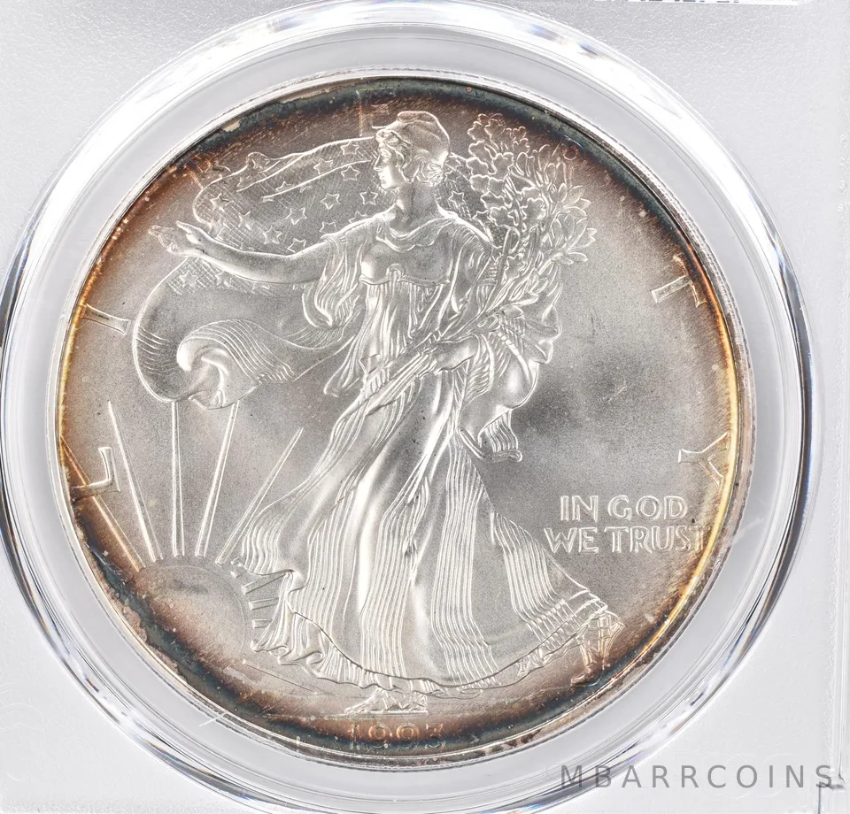 1993 American Silver Eagle MS69 PCGS Peripheral Tone *1137