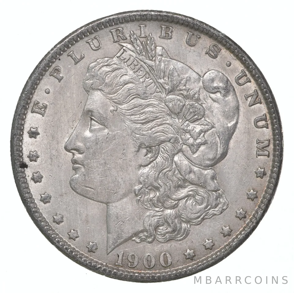 XF 1900 (P) Morgan Silver Dollar (1 coin)