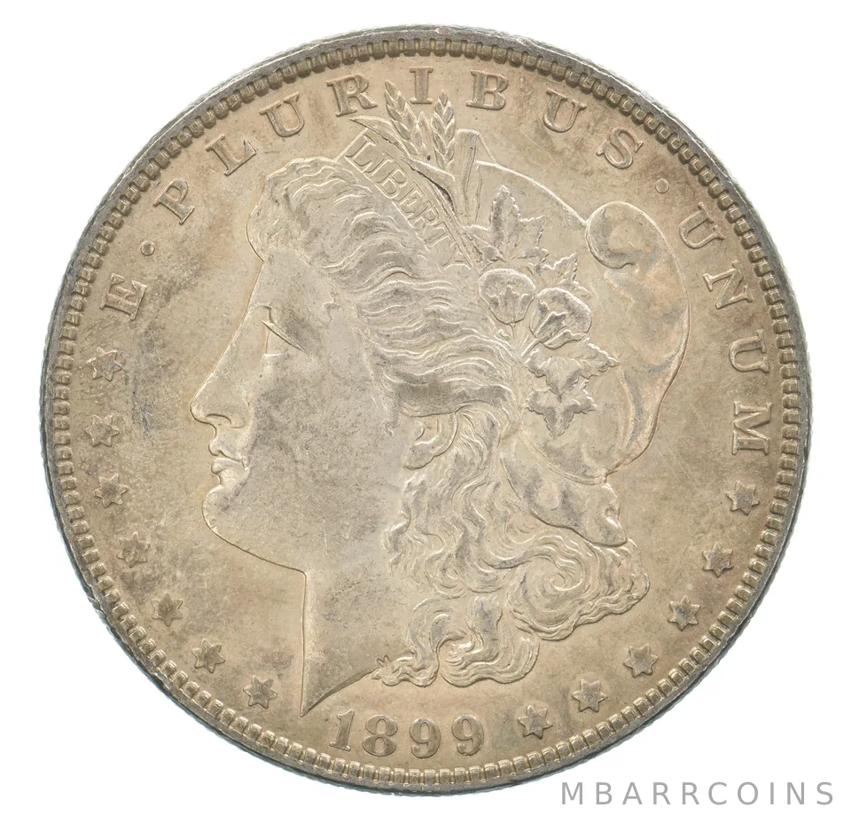 1899 Morgan Silver Dollar Beautiful Tone *5166