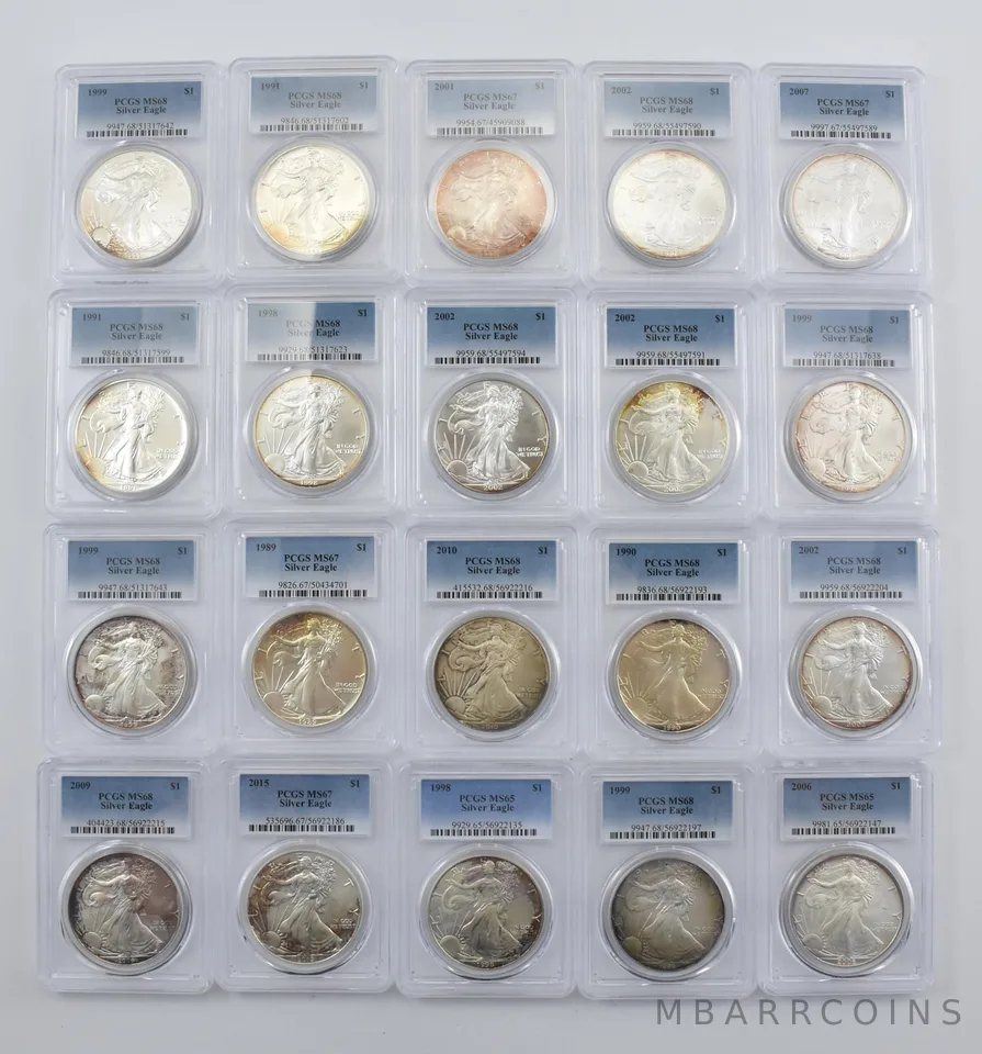 Lot (20) Nice Tone American Silver Eagle PCGS Holder *2892