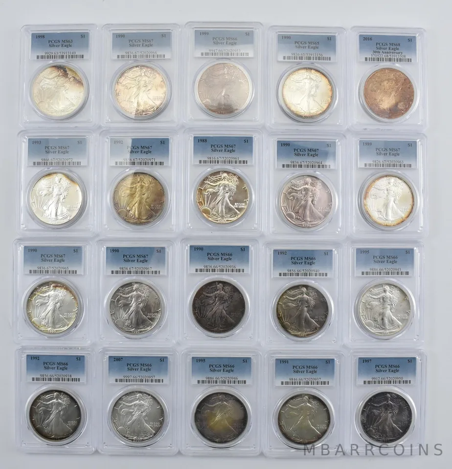 Lot (20) Nice Tone American Silver Eagle PCGS Holder *2880