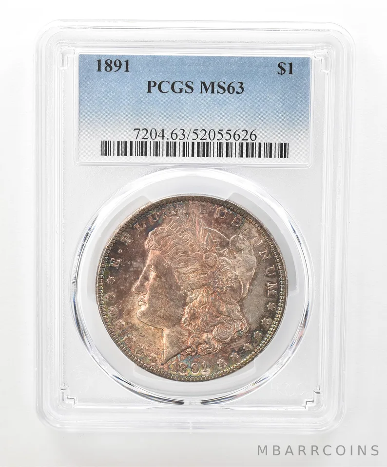 1891 Morgan Silver Dollar MS63 PCGS Beautiful Tone a6648