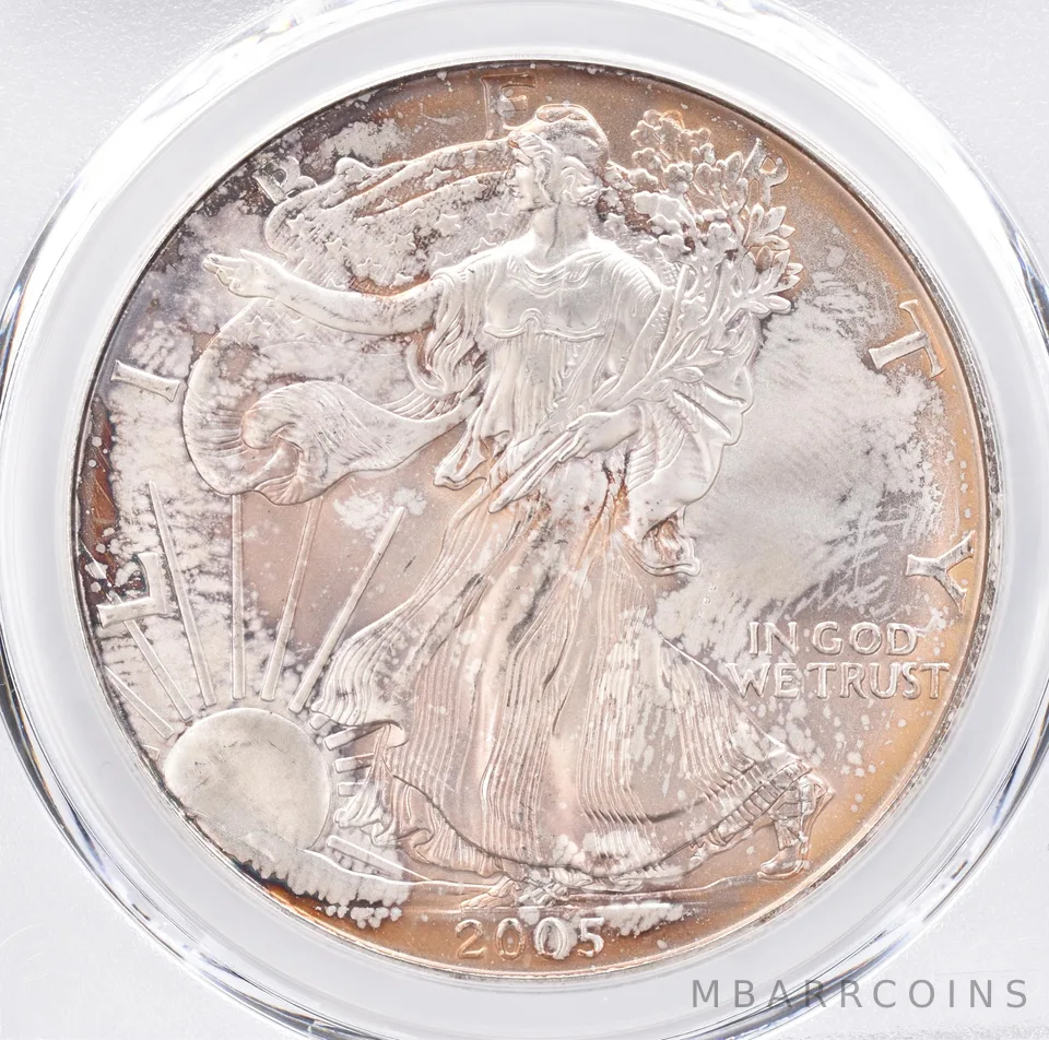 2005 American Silver Eagle MS66 PCGS Beautiful Tone *1401