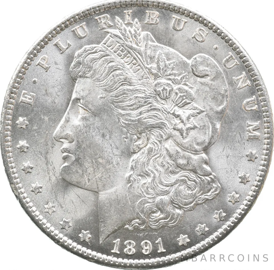 1891 Morgan Silver Dollar a2851